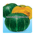 Vegetable Seeds-Chinese High Quality High Yield Pumpkin Seeds For Sowing Competitive Price